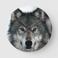 Grey Wolf