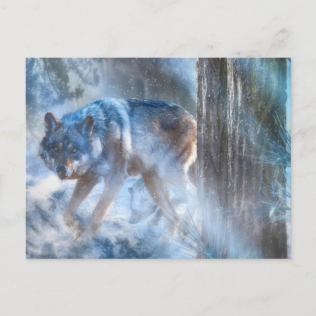 Grey Wolf SEASON OF THE WOLF Postcard (Front)