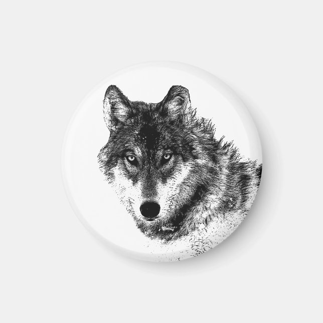 Grey Wolf Sketch Artwork Magnet (Front)