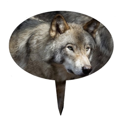 Grey wolf standing cake topper
