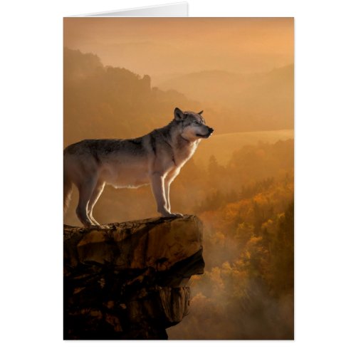 Grey wolf standing on a rock in the forest