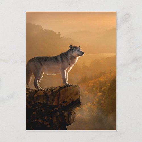 Grey wolf standing on a rock in the forest postcard