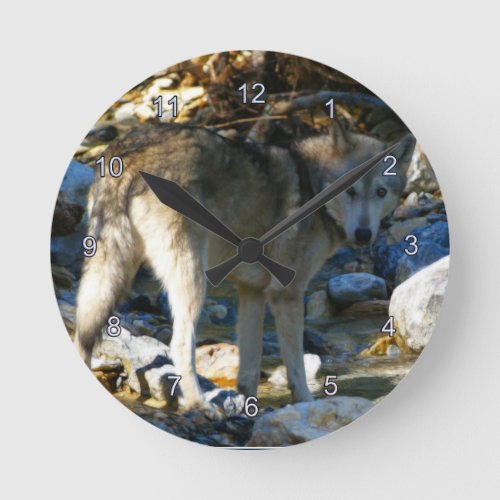 Grey Wolf  Stony Creek Photo Clock