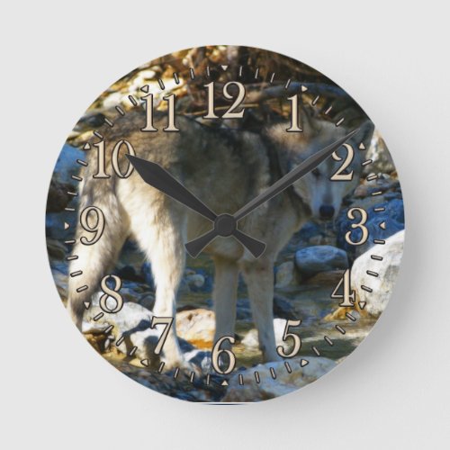 Grey Wolf  Stony Creek Photo Clock