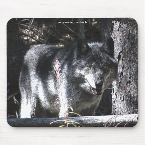 Grey Wolf Study Wildlife Supporter Mousepad