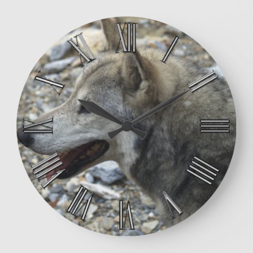 Grey Wolf Study Wildlife_Supporter Photo Clock