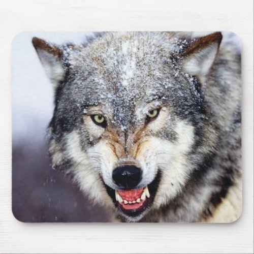 Grey Wolf Teeth Mouse Pad