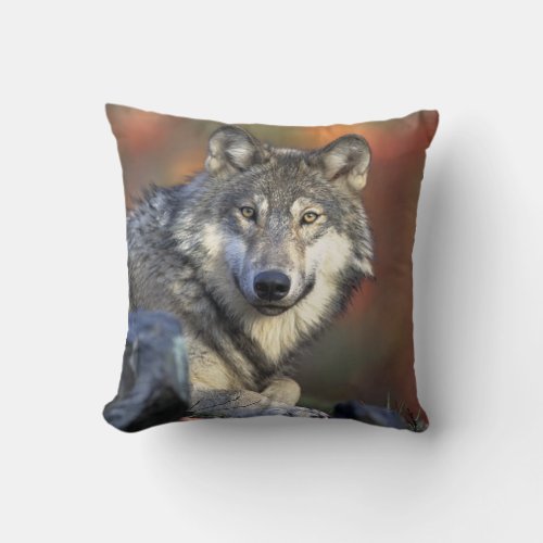 Grey Wolf Throw Pillow