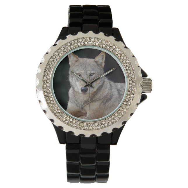 Grey Wolf Watch (Front)