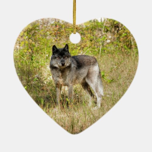 Grey Wolf  Wilderness Photo Gift Ceramic Ornament