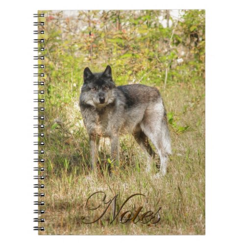 Grey Wolf  Wilderness Photo Gift Notebook