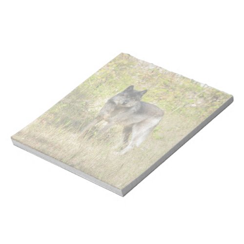 Grey Wolf  Wilderness Photo Gift Notepad