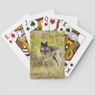 Grey Wolf & Wilderness Photo Gift Poker Cards