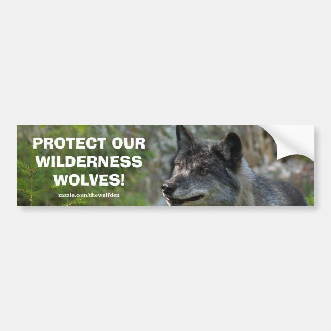 Grey Wolf Wildlife Conservation Bumper sticker (Front)