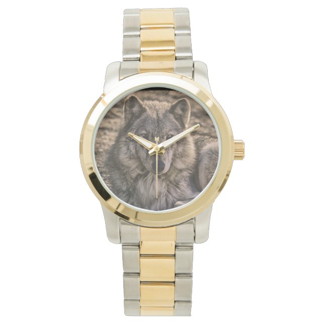 Grey Wolf Wildlife Design Watch (Front)