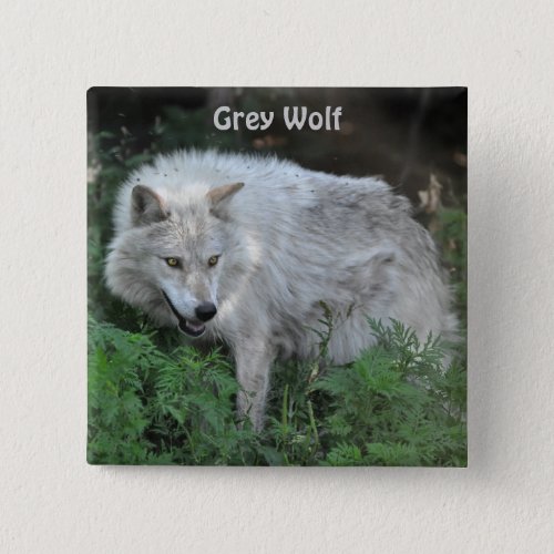 Grey Wolf Wildlife_lover Pinback Button