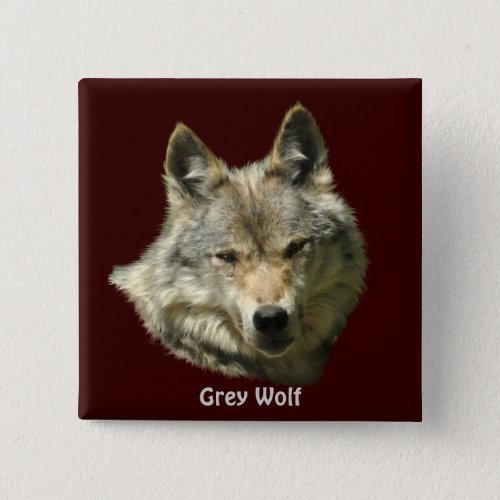 Grey Wolf Wildlife_lover Pinback Button