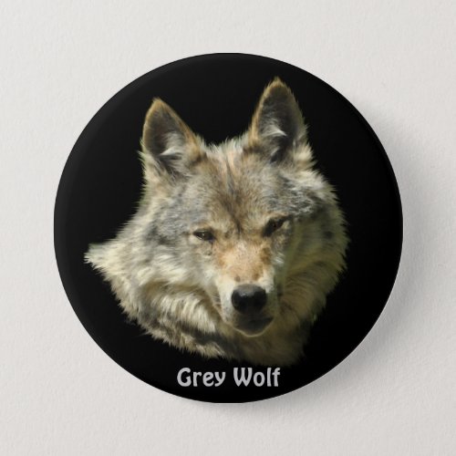 Grey Wolf Wildlife_lover Pinback Button