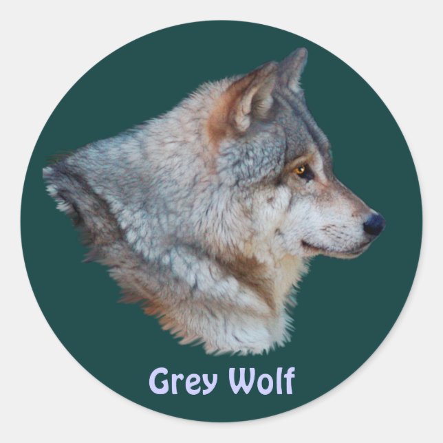 GREY WOLF Wildlife Sticker Collection (Front)