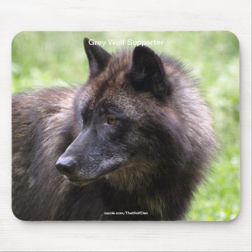 Grey Wolf Wildlife_supporter Animal Photography Mouse Pad