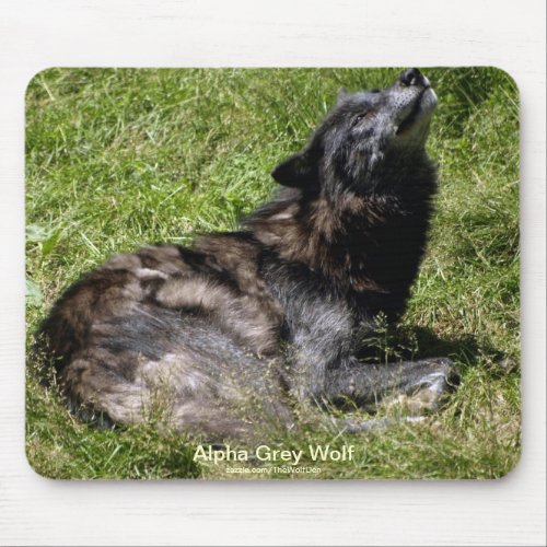 Grey Wolf Wildlife_supporter Animal Photography Mouse Pad