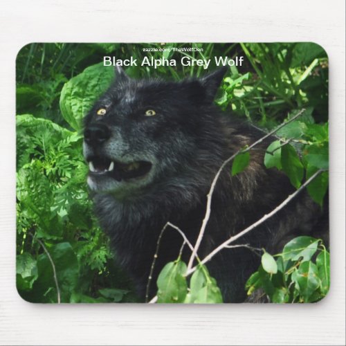 Grey Wolf Wildlife_supporter Animal Photography Mouse Pad