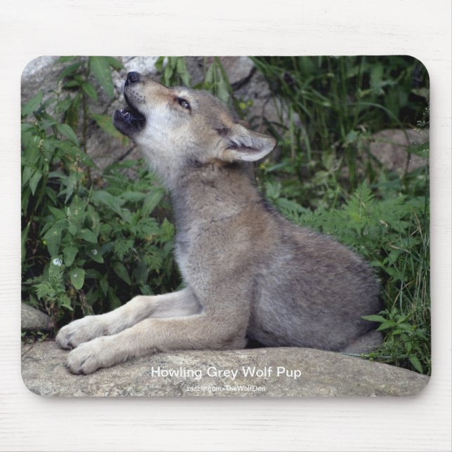 Grey Wolf Wildlife-supporter Animal Photography Mouse Pad (Front)
