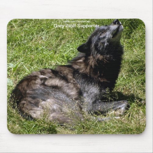 Grey Wolf Wildlife_supporter Animal Photography Mouse Pad