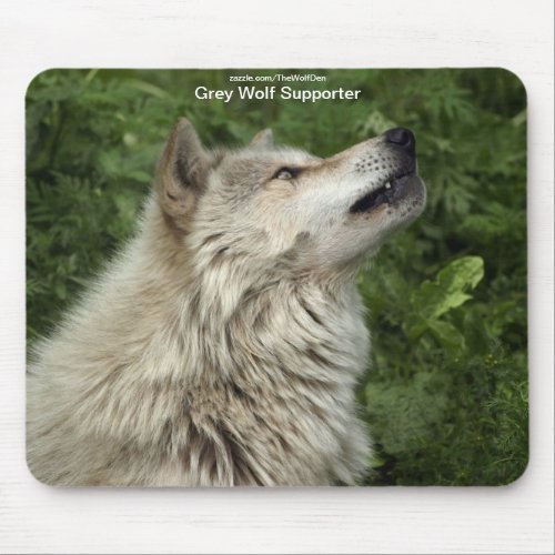 Grey Wolf Wildlife_supporter Animal Photography Mouse Pad