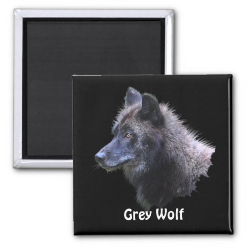 Grey Wolf Wildlife Supporter Photo Magnet