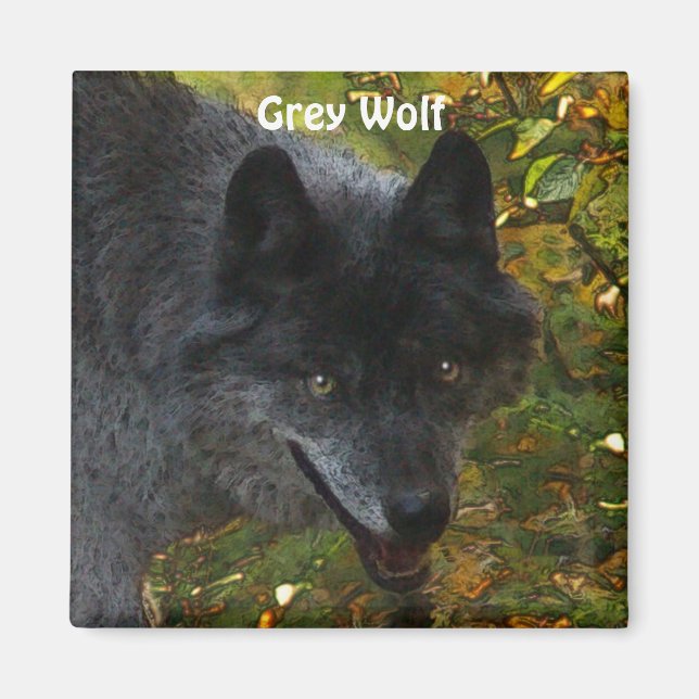 GREY WOLF Wildlife Supporter Photo Magnet (Front)