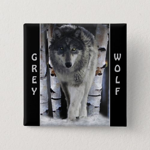 Grey Wolf  Winter Snow Wildlife_supporter Pinback Button