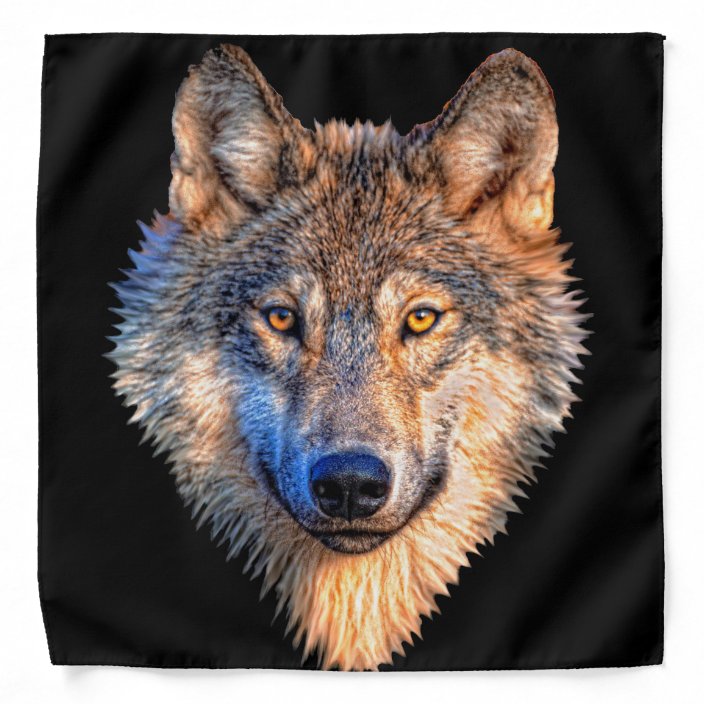 Grey Wolf Wolf Face Bandana Zazzle Com