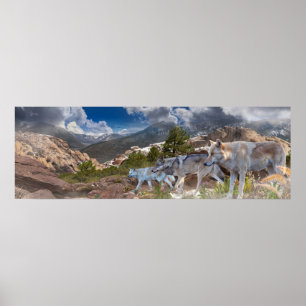 Grey Wolves Family Journey Poster