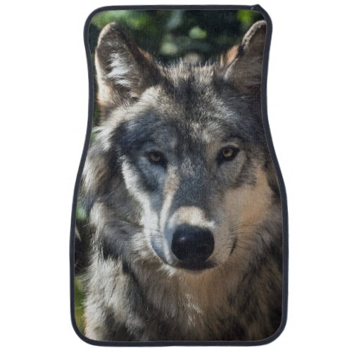 Grey Wolves in the Wild Car Floor Mat