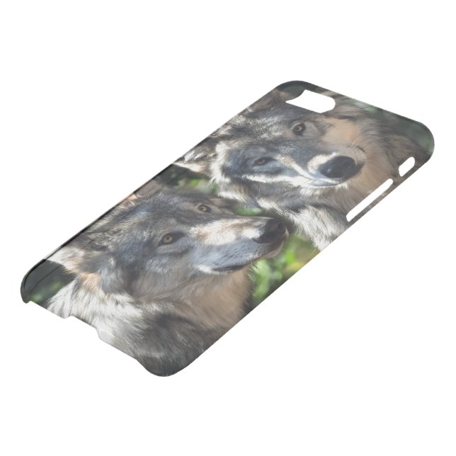 Grey Wolves in the Wild Uncommon iPhone Case (Bottom)