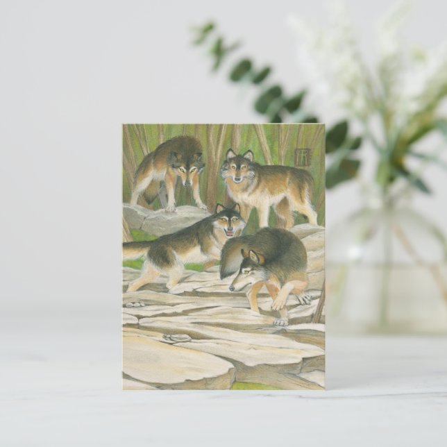 Grey Wolves Postcard (Standing Front)