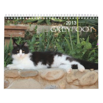 Greyfoot Cat Rescue 2013 Calendar by GreyfootCatRescue at Zazzle