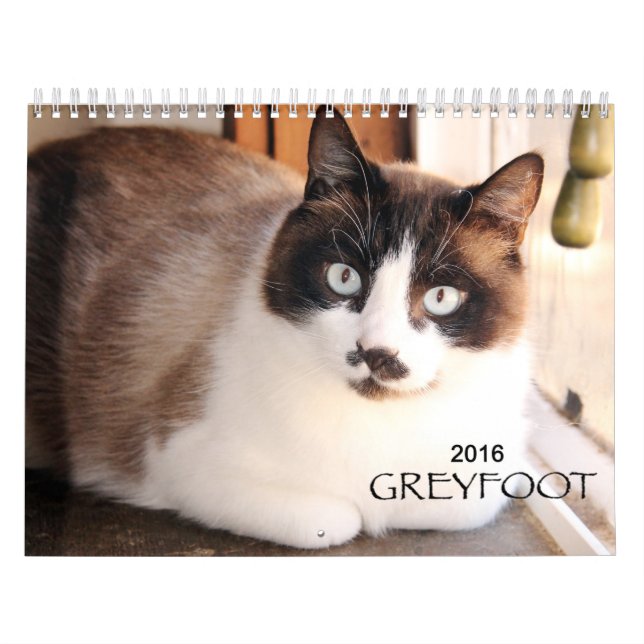 Greyfoot Cat Rescue 2016 Calendar (Cover)