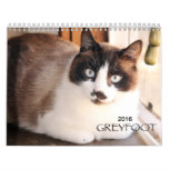Greyfoot Cat Rescue 2016 Calendar at Zazzle