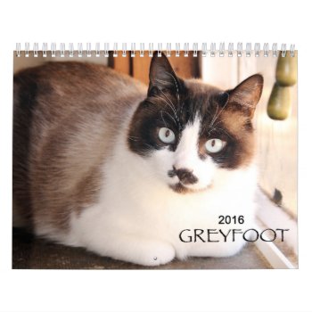 Greyfoot Cat Rescue 2016 Calendar by GreyfootCatRescue at Zazzle