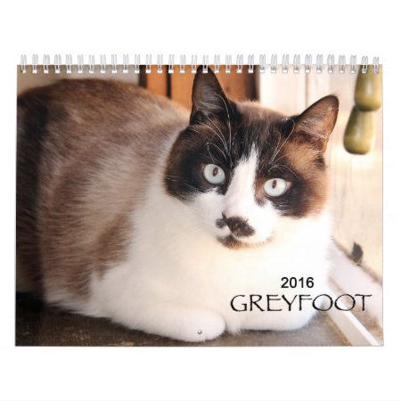 Greyfoot Cat Rescue 2016 Calendar