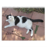 Greyfoot Cat Rescue 2017 Calendar at Zazzle