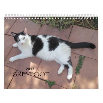 Greyfoot Cat Rescue 2017 Calendar by GreyfootCatRescue at Zazzle