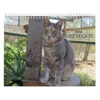 Greyfoot Cat Rescue 2018 Calendar by GreyfootCatRescue at Zazzle