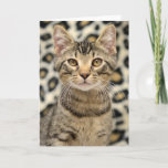 Greyfoot Cat Rescue Brown Tabby Card at Zazzle