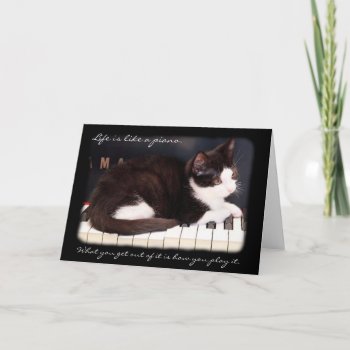 Greyfoot Cat Rescue Life Is A Piano Card by GreyfootCatRescue at Zazzle