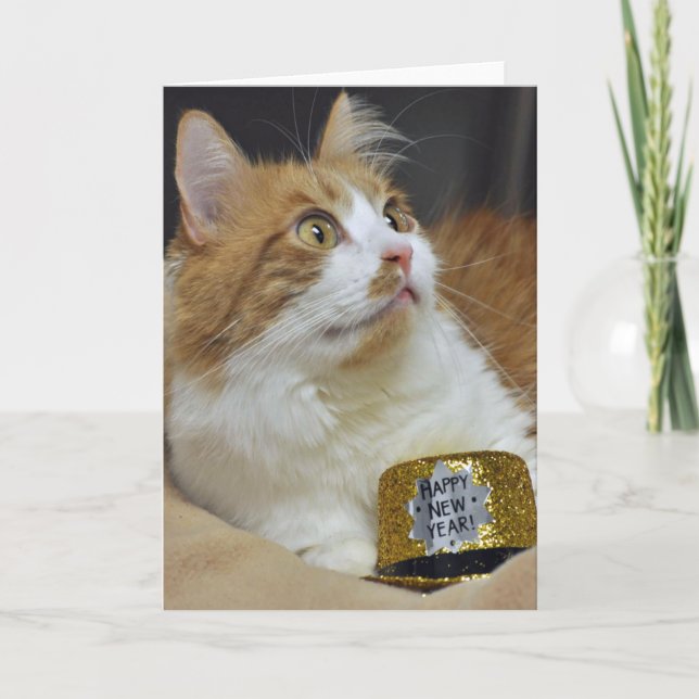 Greyfoot Cat Rescue New Years Greeting Card (Front)