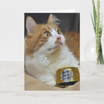 Greyfoot Cat Rescue New Years Greeting Card by GreyfootCatRescue at Zazzle