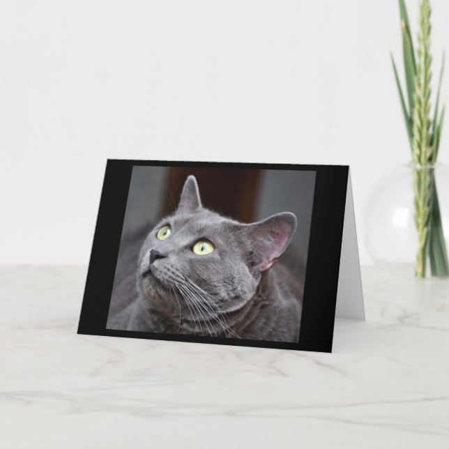 Greyfoot Cat Rescue Russian Blue Greeting Card (Front)